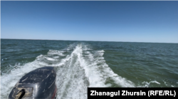 Balykçy gaýygynyň üstünden, Kiçi Aralyň görnüşi.