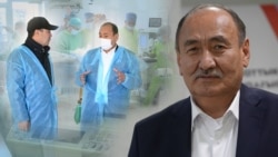 “Кийинки жылы боорду алмаштыра баштайбыз”