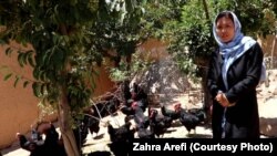 زهرا عارفی خانمی که در ولایت دایکندی یک فارم مرغداری ایجاد کرده است. 