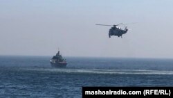 د مارچ پر اوومه ژغورونکي د ورکو کب نیونکو پسې ګرځي. 