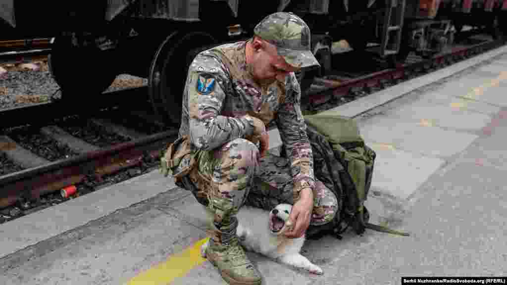 Евгений собирается домой в отпуск. Он везёт для для дочери домашнего питомца, щенка по кличке Боярд