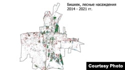 2014-2021-жылдардагы Бишкектеги жашыл аймактын абалы