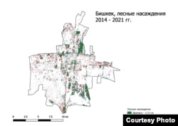 2014-2021-жылдардагы Бишкектеги жашыл аймактын абалы