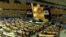 A UN Assembly (file photo)