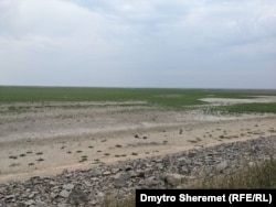 Каховське водосховище висохло і заростає травою, серпень 2023 року