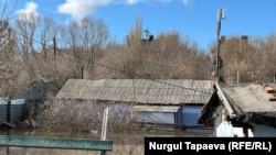 Иллюстрациялык сүрөт.