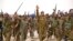 The armed forces in Sudan have recently reversed losses in their fight against rebels with the help of Iranian weapons. 