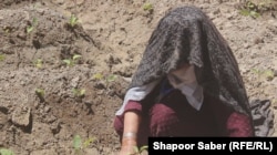 زنان در این باغچه ها بیشتر سبزیجات کشت می کنند و حاصل آن را در بازار می فروشند