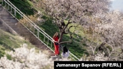 Сулайман Тоо, Ош. 