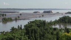 Война и дамба