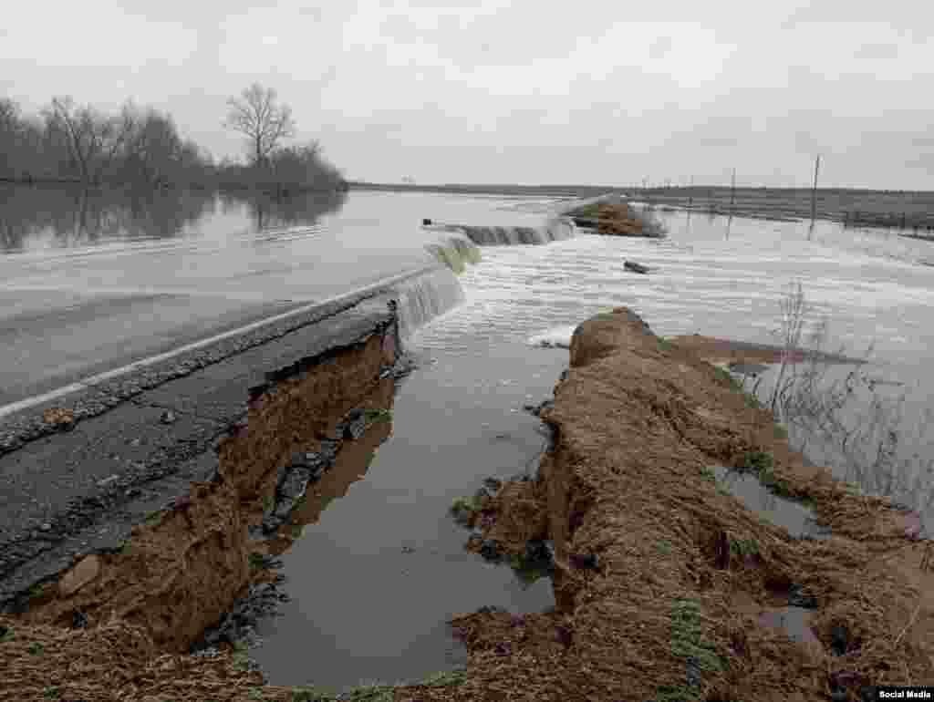 Алтай төбәге