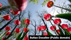 Бишкек шаары.