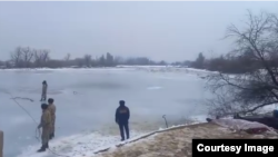 Сүрөт интернеттен алынды. 2-март, 2024-жыл