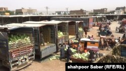 یکی از بازار های عمده فروشی میوه در ولایت هرات. امسال تعدادی از باغداران شکایت دارند که قیمت میوه هم کاهش یافته و مردم نیز توان خرید ندارند.