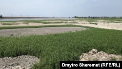 Висохле Каховське водосховище, серпень 2023 року