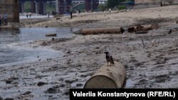 У Запарожжы пасьля зьнішчэньня Кахоўскай дамбы Дняпро моцна абмялеў