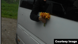 "Кызыл китепке" киргизилген жоогазынды үзүп алган кыз. Сары-Челек.