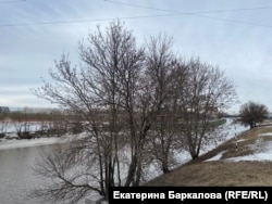 Вид на Охтинский мыс