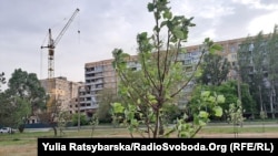 Місцеві жителі висадили 55 горобин і 35 форзицій у пам’ять про 55 загиблих і зниклих безвісти у будинку у Дніпрі