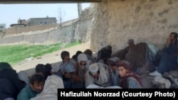 عده قابل ملاحظه یی از افراد معتاد در مصاحبه های خود گفته اند که در جریان آموزش در نهاد های تحصیلات عالی و یا هم پس از آن به مواد مخدر معتاد شده اند