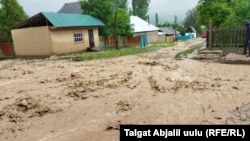 Иллюстрациялык сүрөт.