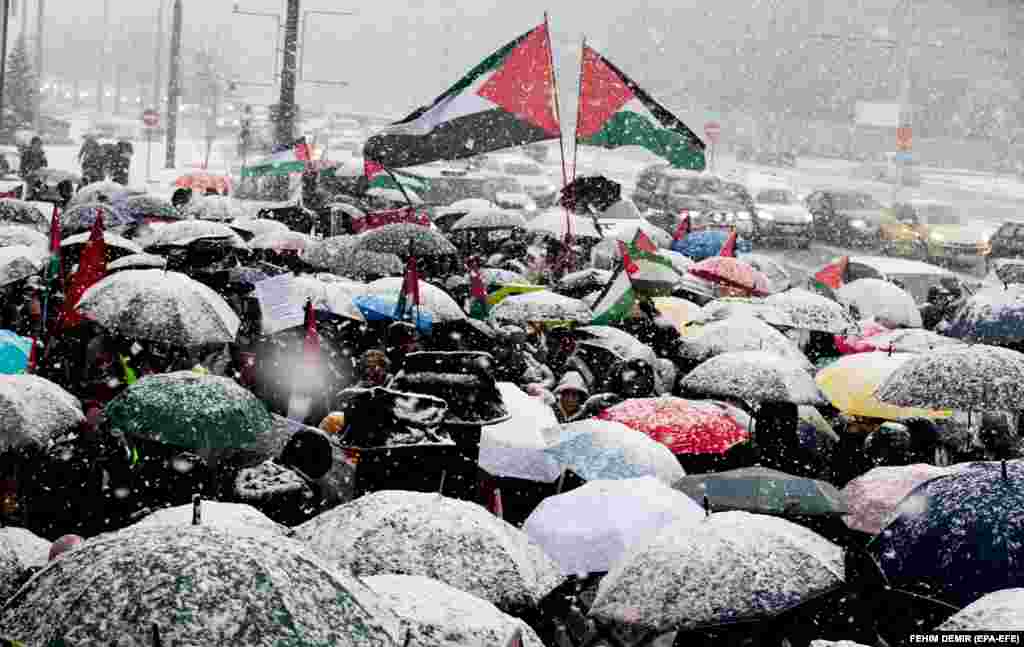 Saraýewoda Palestina halkyny goldamak üçin geçirilen ýygnanyşykda, protestçiler Palestinanyň baýdaklaryny salgaýarlar.