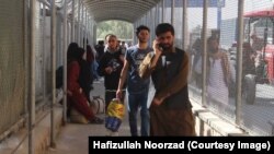 مقام های طالبان در نیمروز می گویند که روزانه حدود 2500 افغان به کشور خود بر می گردند.