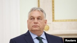  Հունգարիայի վարչապետ Վիկոր Օրբան, արխիվ