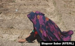 یکی از زنان زراعت پیشه