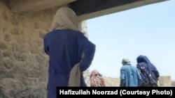 تصویر آرشیف جنبه تزئینی دارد