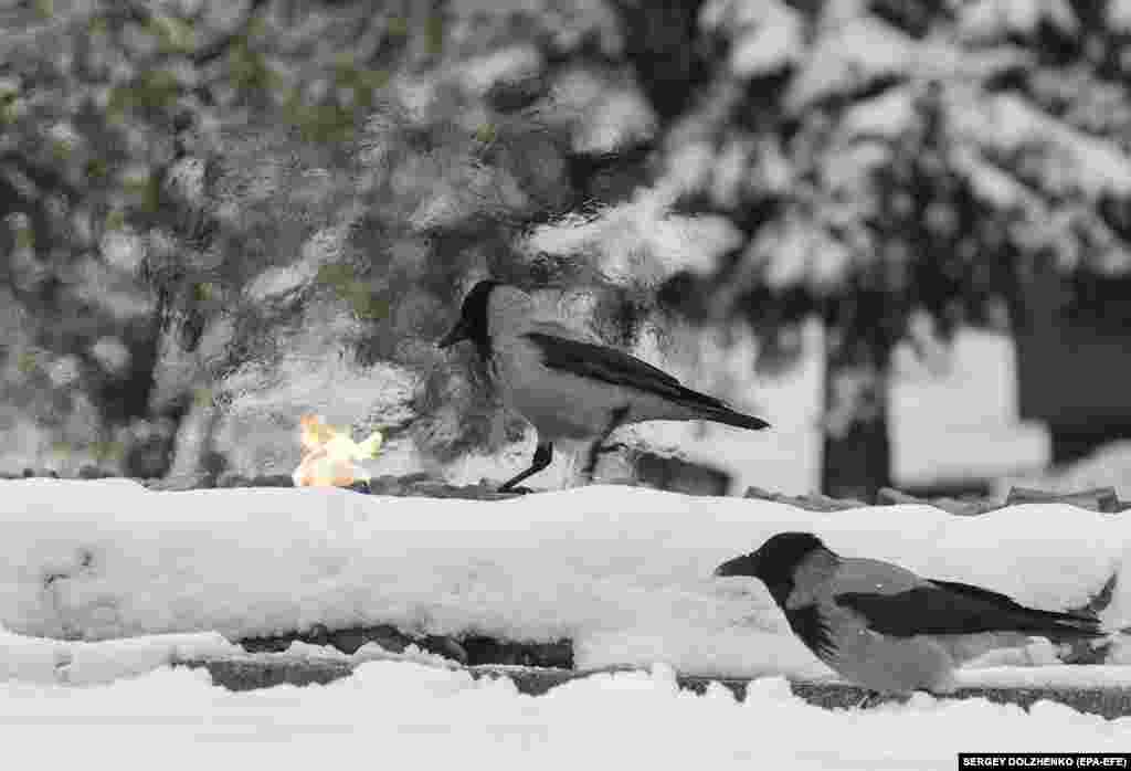 Вечный огонь в Киеве. 22-ноября.