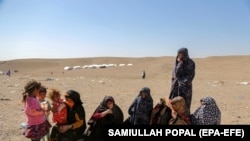 شماری از زلزله زدگان در ولایت هرات