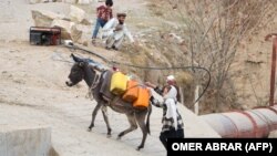 انتقال آب در برخی از مناطق افغانستان به وسیله حیوانات صورت می‌گیرد.