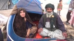 خانواده های که هنوز زیر خیمه در هرات به سر میبرند از فقر شکایت دارند
