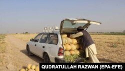  یک دهقان در افغانستان، آرشیف