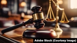 За повідомленням, Корольовський районний суд Житомира погодився з доводами прокурора