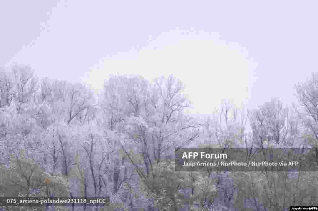 Лесопосадка в Варшаве после продолжительного снегопада. 18 ноября.