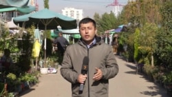 Опрос: по карману ли таджикистанцам хадж? 