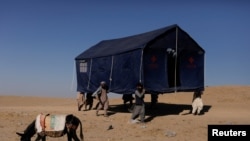 شماری از افراد در حال انتقال یک خیمه در یک منطقه زلزله زده هرات. 