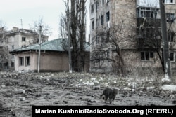 В Авдіївці розбита майже кожна будівля. Фото: 10 березня 2023 року