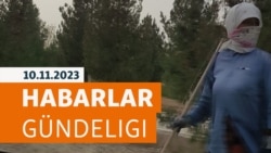 HG: Aşgabatda köpgatly jaýda äpet bürgüt ýaşaýjylary gorkuzýar