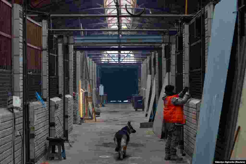 Сначала Попова использовала доходы от конного бизнеса для финансирования приюта. Но после российского вторжения бизнес стал нерентабельным. Сейчас она ухаживает за животными и периодически выезжает на линию фронта, чтобы вывезти других зверей &nbsp;