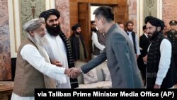Çinin əfqanıstandakı yeni səfiri Çjao Şen "Taliban" hərəkatının baş naziri Məhəmməd Həsən Axundun qəbulunda (solda). 2023