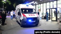 Иллюстрациялык сүрөт.