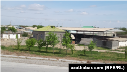 Illýustrasiýa suraty. Türkmenistan.