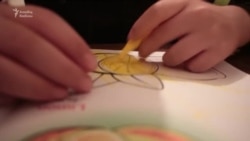 Autizmli uşaqlara ayrılan pul nəyə çatır?