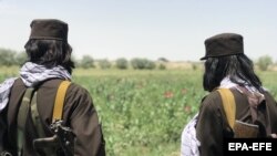 دو تن از افراد طالبان در نزدیکی از مزارع کوکنار در جنوب افغانستان 