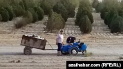 Ýörite arabada zibil toplaýan erkek adam. Illýustrasiýa suraty. Arhiwden alyndy.