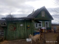 Новый дом Перчиковых