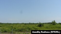 Boş qalmış əkin sahələri